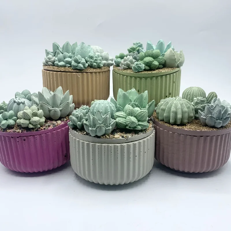 Concrete Succulent Garden Container - Ribbed