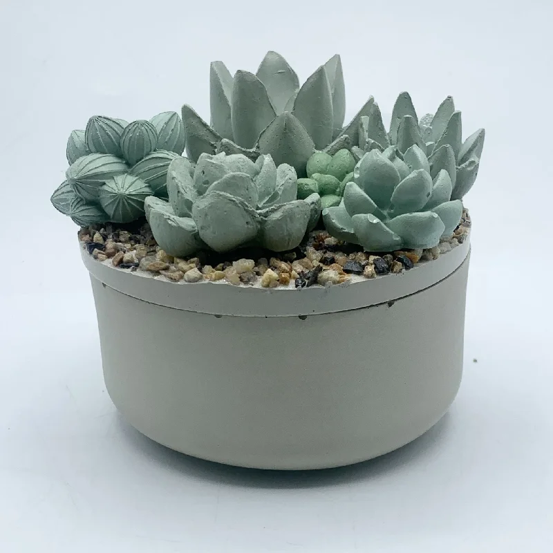 Concrete Succulent Garden Container